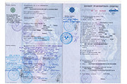 ПТС